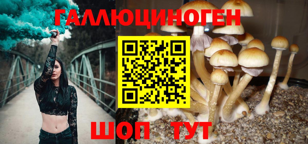 Учалы  Галлюциногенные грибы MAGIC MUSHROOMS  Вход с VPN 