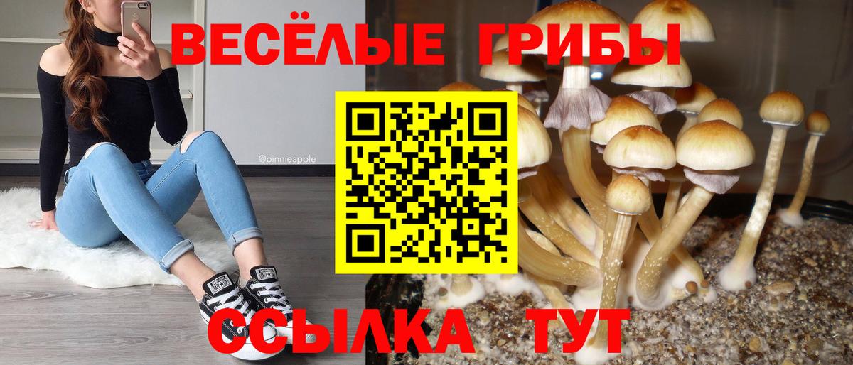 Псилоцибиновые грибы Cubensis Учалы